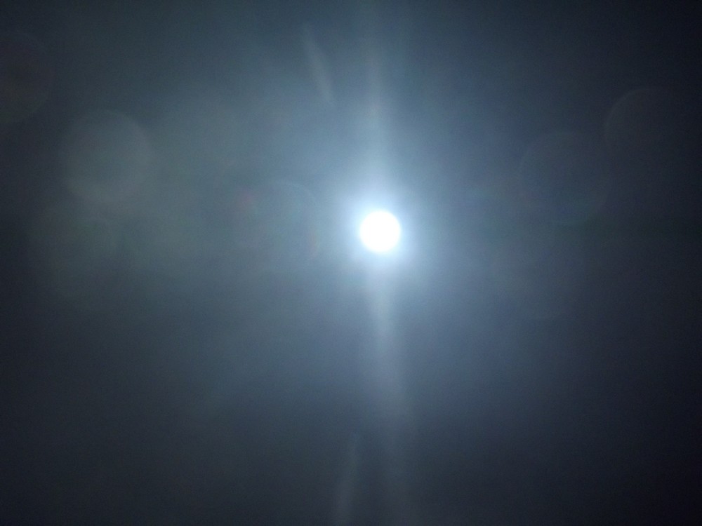 DSCF3244.jpg