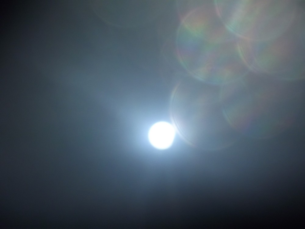 DSCF3248.jpg