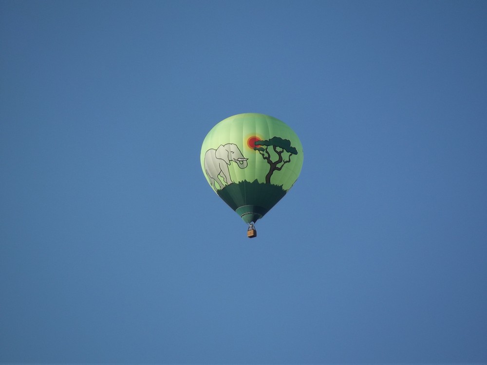 DSCF3255.jpg