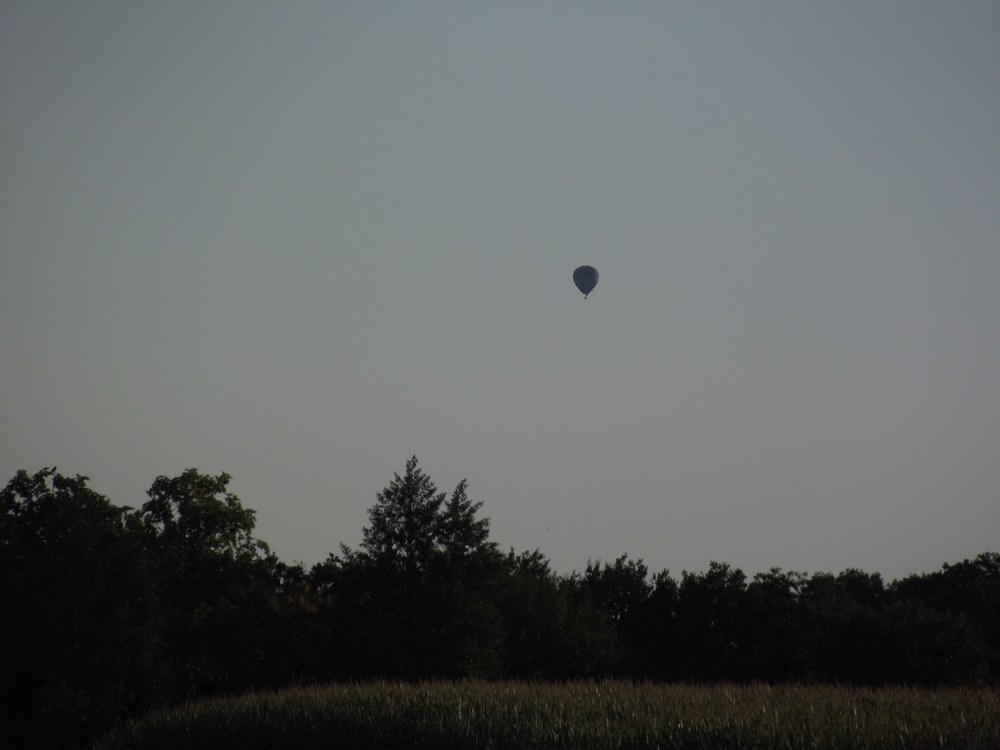 DSCF3260.jpg
