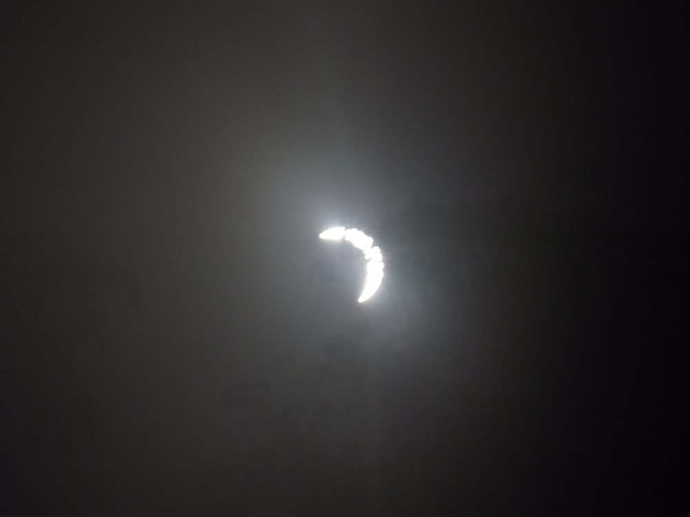 DSCF3290.jpg