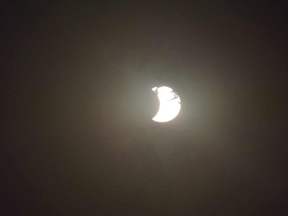 DSCF3307.jpg
