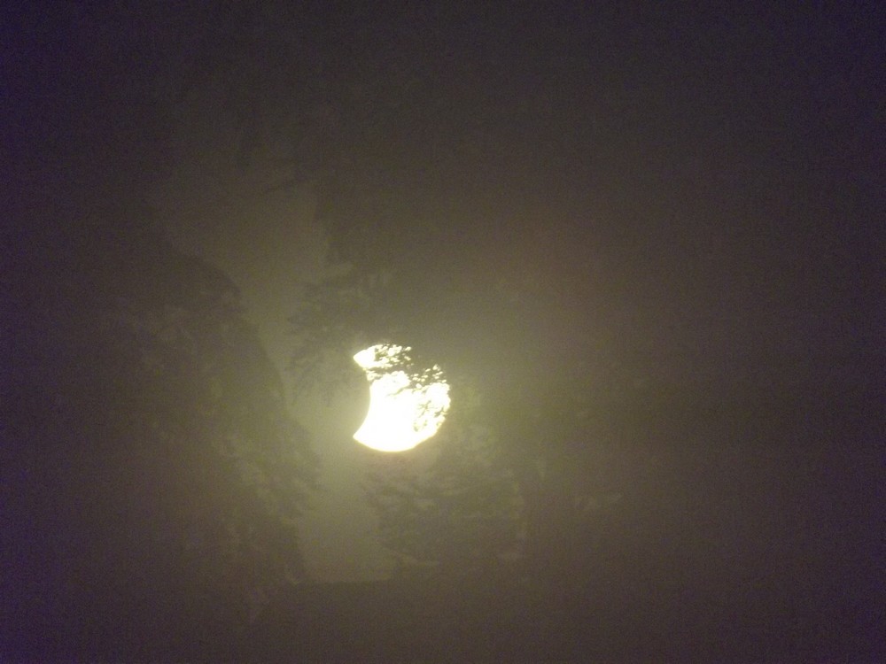DSCF3314.jpg