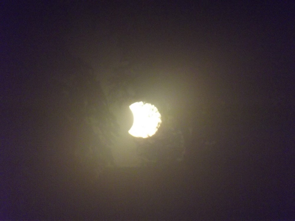 DSCF3320.jpg