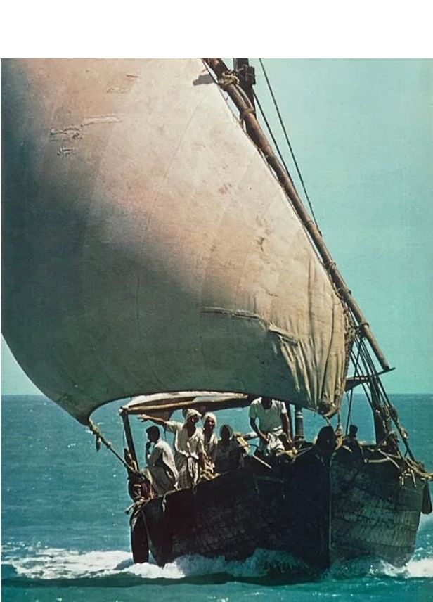 Mast with Hoops rings Lateen rigged.jpg