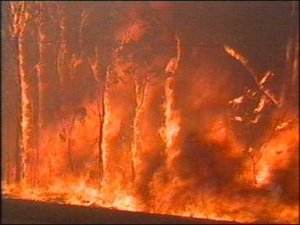fire03.jpg