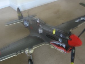 p-40.jpg