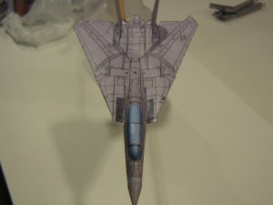 paper f-14 3.jpg