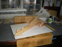 xl5016.JPG