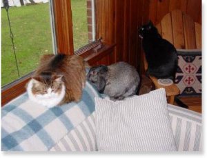 train layout-helpers.jpg