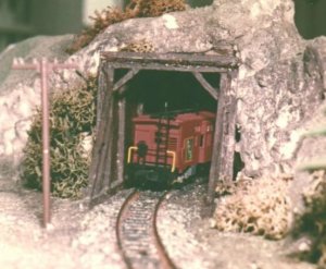 woodtunnel.jpg