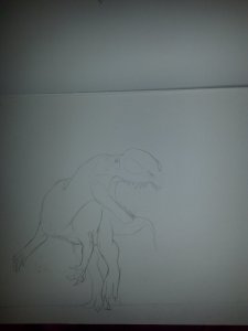 1403202808610.jpg