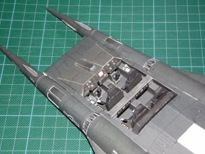 DSCF6913.jpg