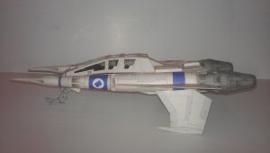 IMAG4618.jpg