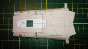 IMAG4816.jpg