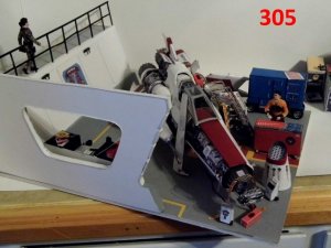 305.jpg