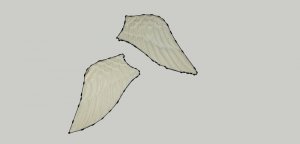wings.jpg