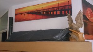 DSC_0138.JPG