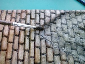 IMG_20160817_170730.jpg