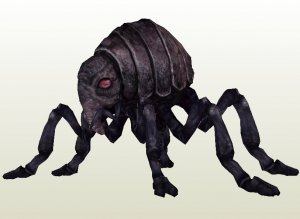 lava flea.jpg lava flea.jpg
