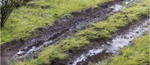 MuddyRoads.jpg