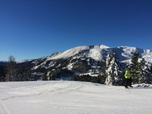 IMG_1784.jpg