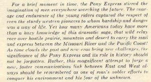 pony003.jpg