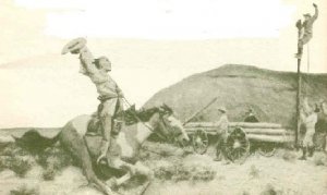 pony006c.jpg