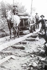 tram line.jpg