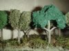 CornerWoods2.jpg