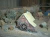 Jul09047.JPG