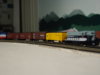 DSC00551.JPG