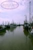fishing boats.jpg
