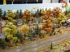 DSC00695.JPG