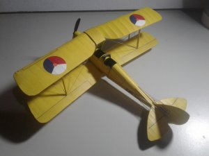 20190615_092208.jpg