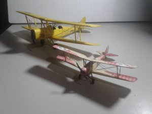 20190615_092837.jpg
