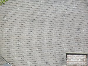 DSCF6949aa.JPG