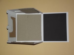DSCF7267.jpg