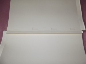 DSCF7301.jpg