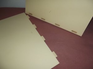 DSCF7343.jpg