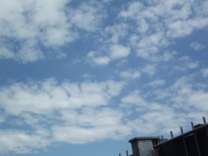 DSCF7370.jpg