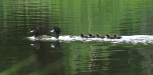 DSCF7423.jpg