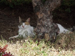 DSCF7443.jpg