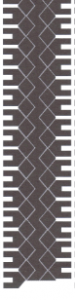 Tire Tread Chunk....png