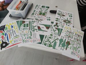 20200807_094556.jpg