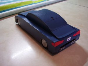 P1010004 (4).JPG