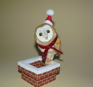 DSCF8580.jpg