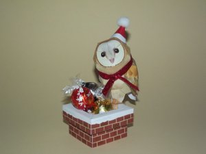 DSCF8588.jpg