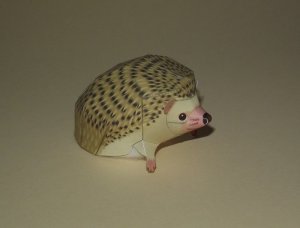 DSCF8978.jpg