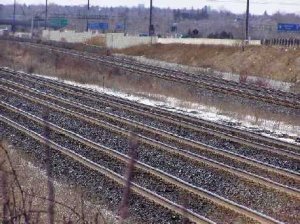 tracks.jpg